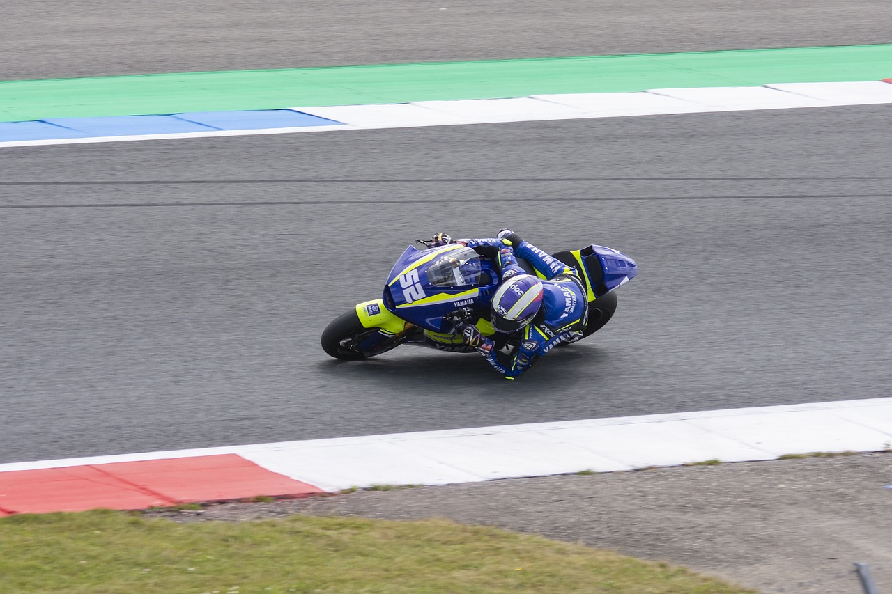 献了一场精 献了一场精