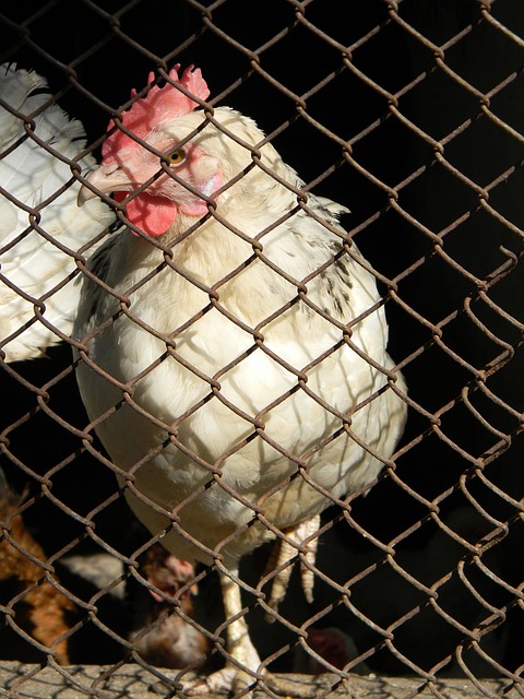 一策略的潜 一策略的潜