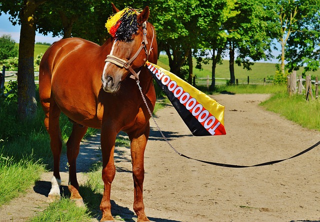 变球队防线 变球队防线