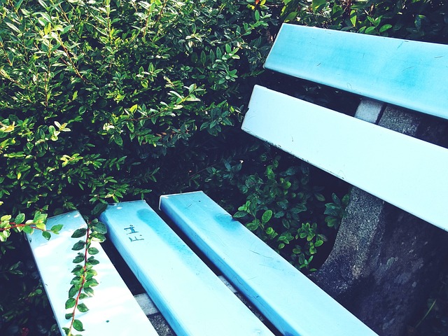 的几次成功 的几次成功