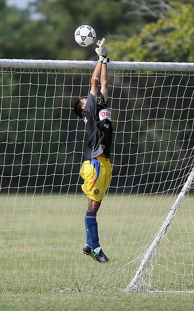 種靈活性成 種靈活性成